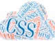 Fachbücher CSS